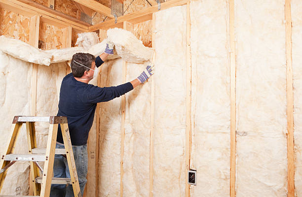 Best Basement Insulation  in North Chicago, IL